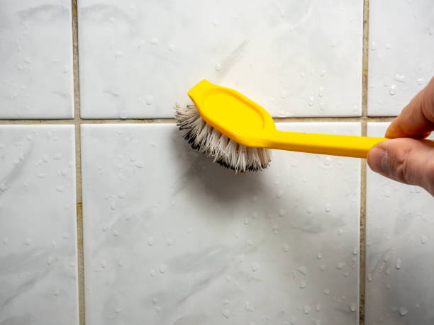Best Affordable Mold Removal  in Cullman, AL