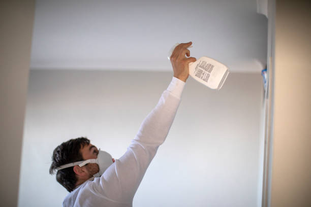 Best Professional Mold Removal  in Cullman, AL