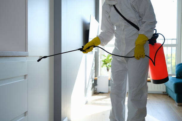 Best Mold Damage Repair  in Cullman, AL